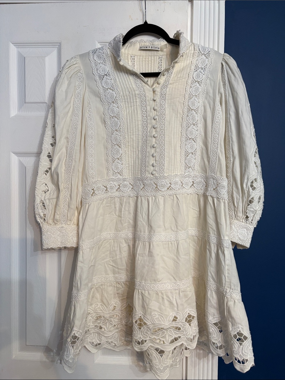 Alice + Olivia Clark Pintucked Broderie Anglaise Cotton Mini Dress - size small - Picture 5 of 5